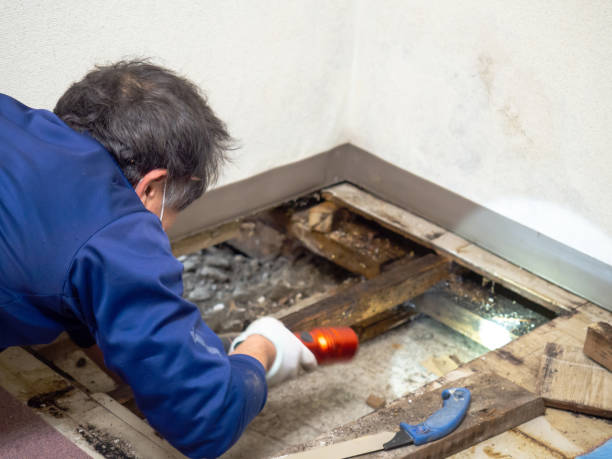 Best Crawl Space Mold Remediation in Lakeway, TX