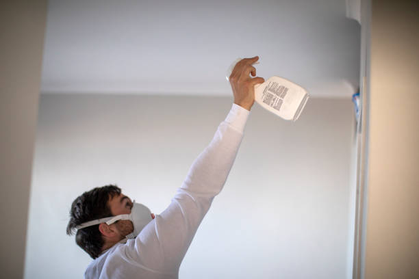 Best Residential Mold Remediation in Lakeway, TX