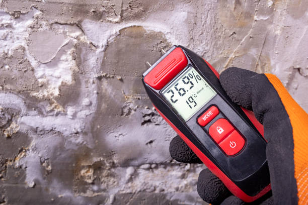 Best Commercial Mold Remediation in Lakeway, TX
