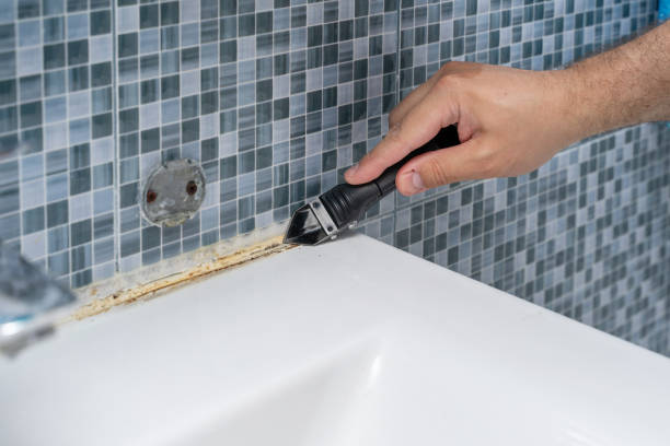 Lakeway, TX Mold Remediation Company