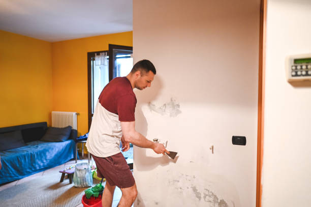 Best Black Mold Remediation in Lakeway, TX